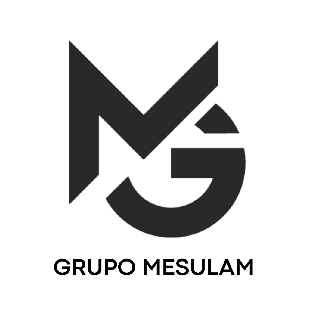 GRUPO MESULAM